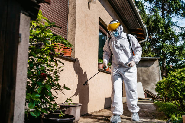 Best Wasp Removal Services  in Raleigh, NC