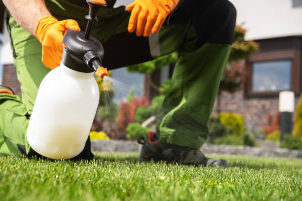 Bird Control in Raleigh, NC