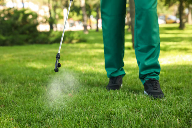 Best Cockroach Control Services  in Raleigh, NC