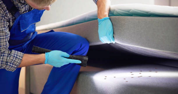 Best Wasp Removal Services  in Raleigh, NC