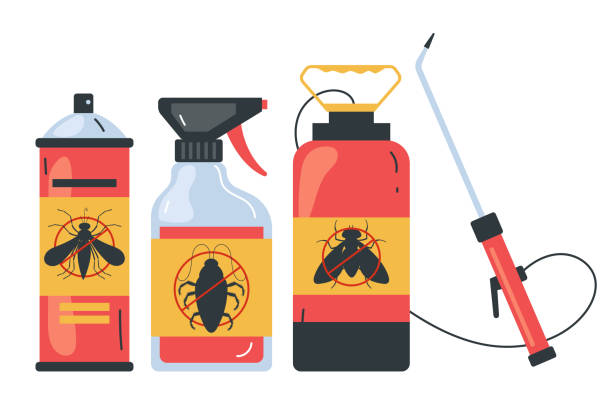 Wasp Removal Services in Raleigh, NC